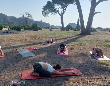 Скидка «ранняя пташка»: 3% при раннем бронировании (до 1 августа).  